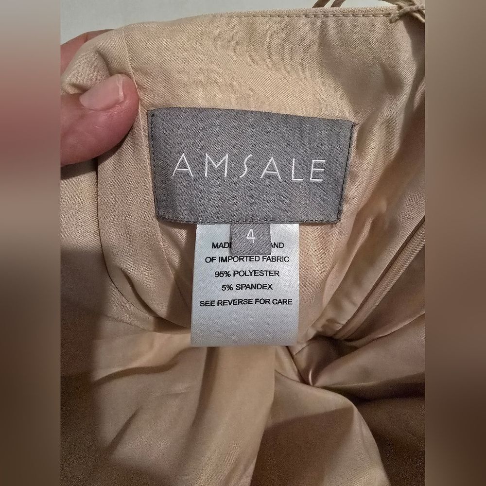 Amsale Dorothy Bridesmaid One Shoulder Dress Size 4 in Blush - Picture 6 of 10